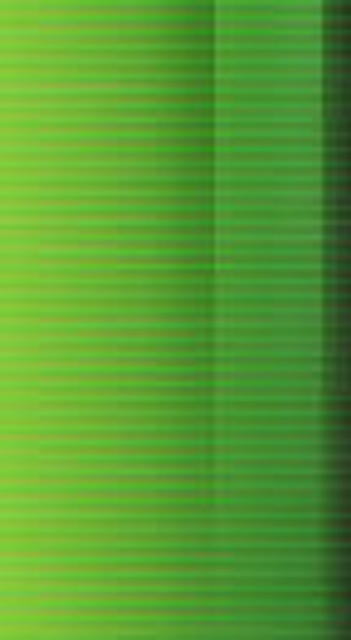 Soubor lidových písní a tanců Májek logo