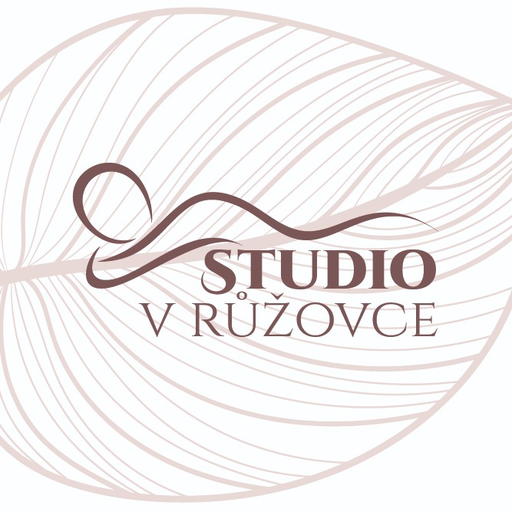 Studio V Růžovce logo
