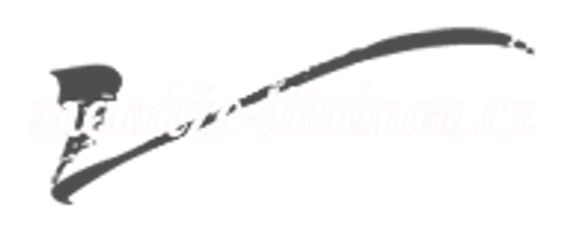MASÁŽE Lubomíra Skořepová logo