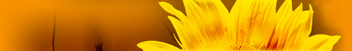 Masáže Pepíno logo