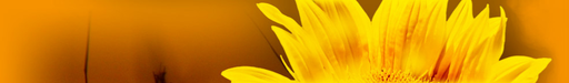 Ing. Petr Fiala logo