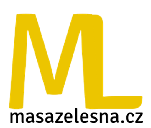Masérské služby, s.r.o. logo