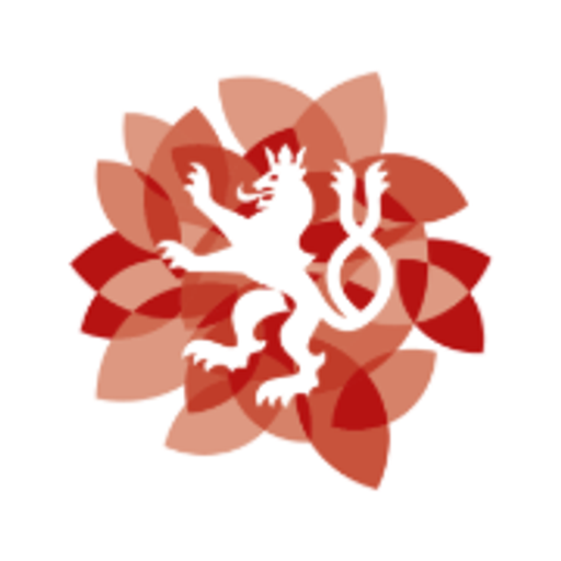 Městská sportovní Turnov logo