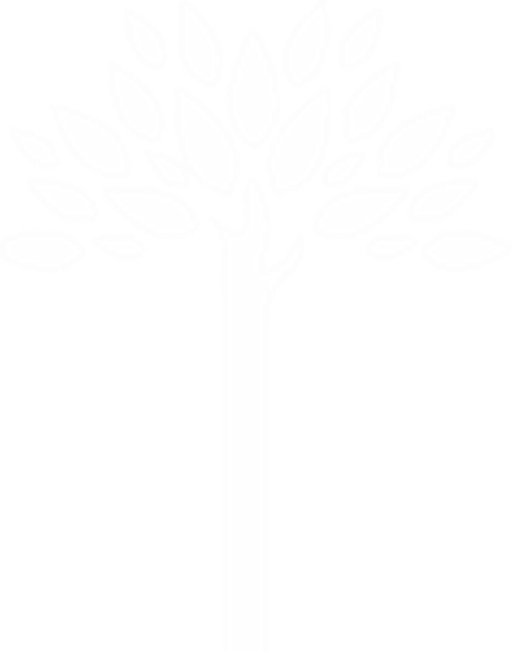 MAS Mohelnicko logo