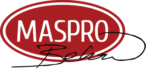 Maspro logo