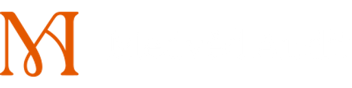 MEDVĚD AUDIT s.r.o. logo