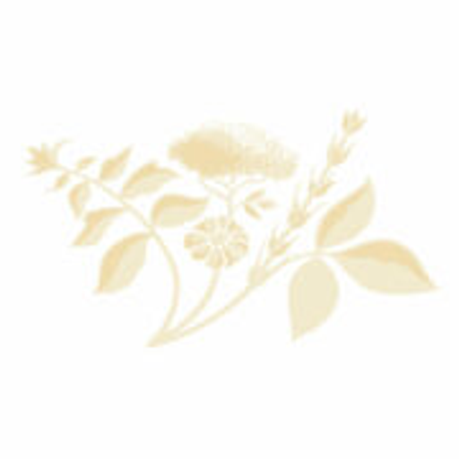 MEDICAL ESTHET & SPA EXPERT CENTER BIOLOGIQUE RECHERCHE logo
