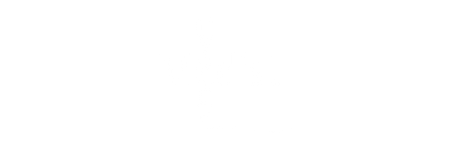Medist Czech s.r.o. logo