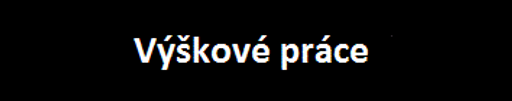 Dalibor Mergl logo
