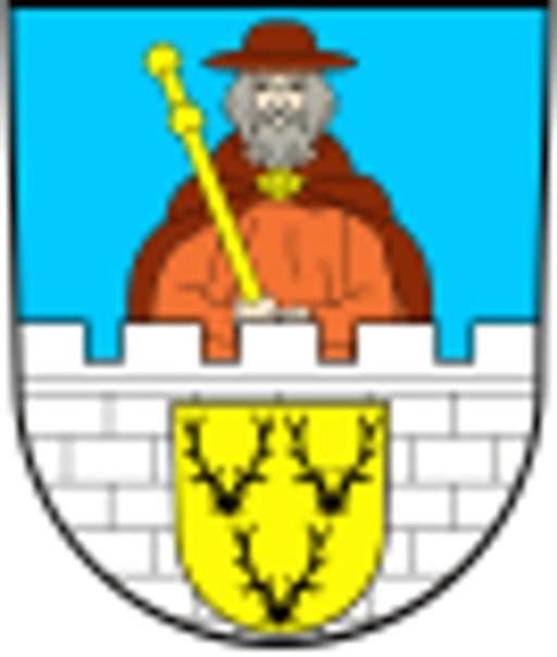 Město Staňkov logo