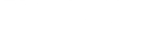 TECHNO-SERVICE CZ, a.s. logo