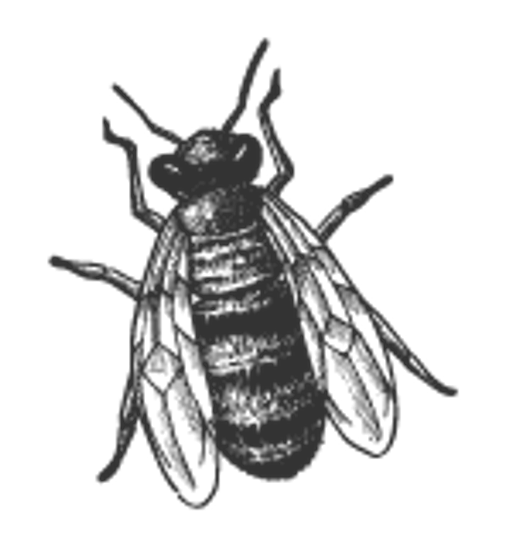 Mezistěny Stražisko logo