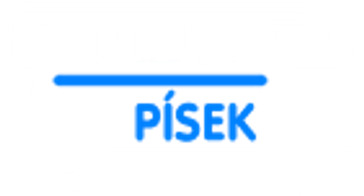 Vít Dohnal - minibus Písek logo