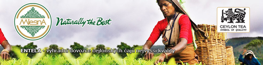 Mlesna.cz logo