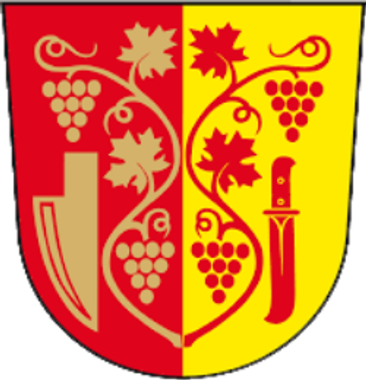 Moravská Nová Ves logo