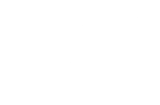 PES - Peněžní expresní service - Western Union logo