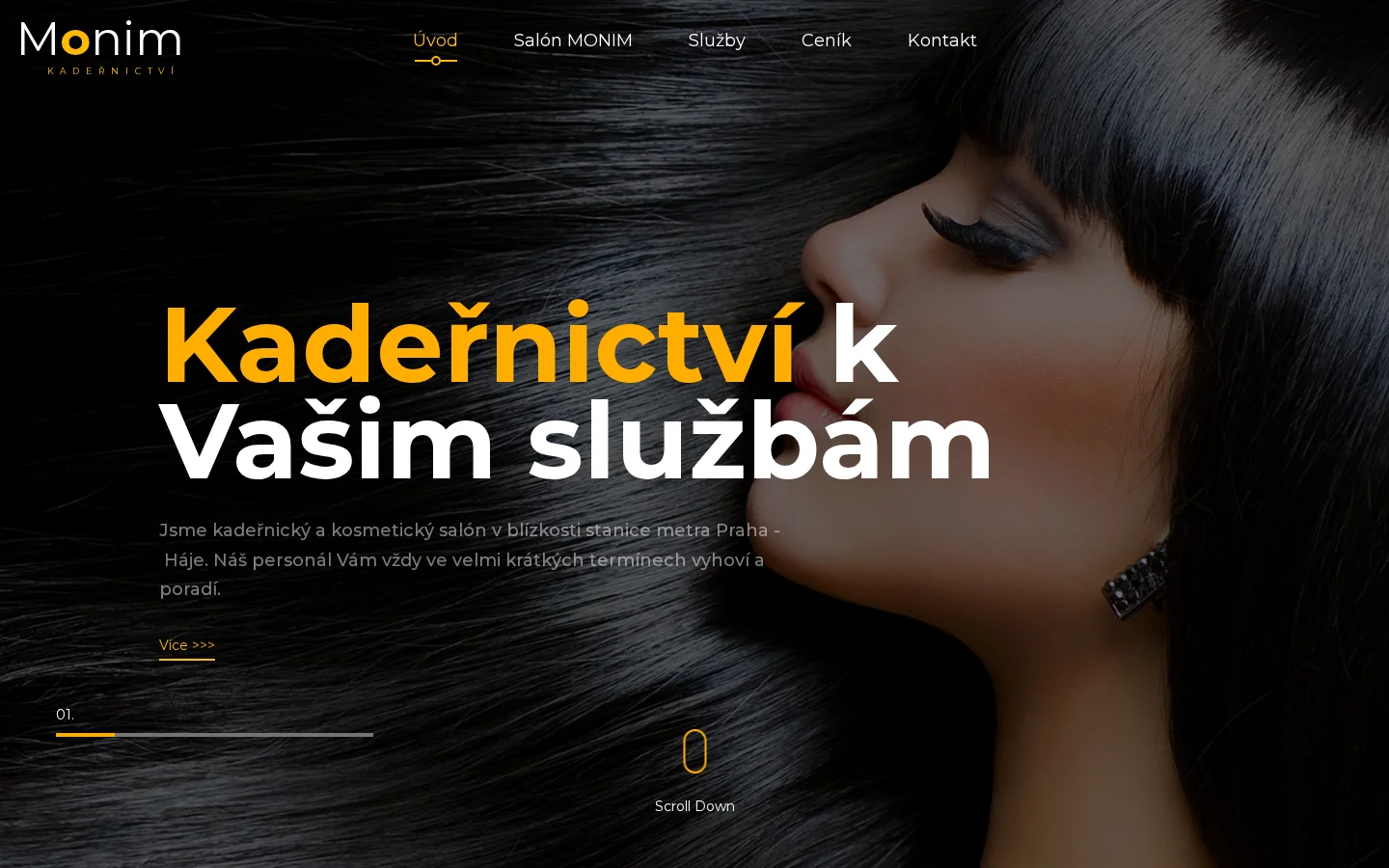 Salon Monim - Monika Musilová website