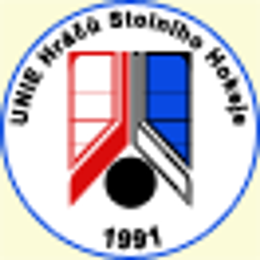 BHC Most logo