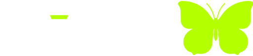 MOTÝL TRAVEL logo