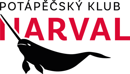 MS-diving logo