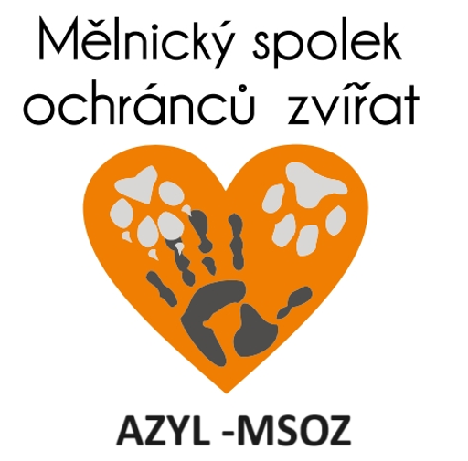 MSOZ logo