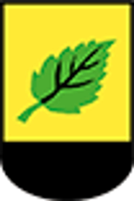 Březová - městský úřad logo