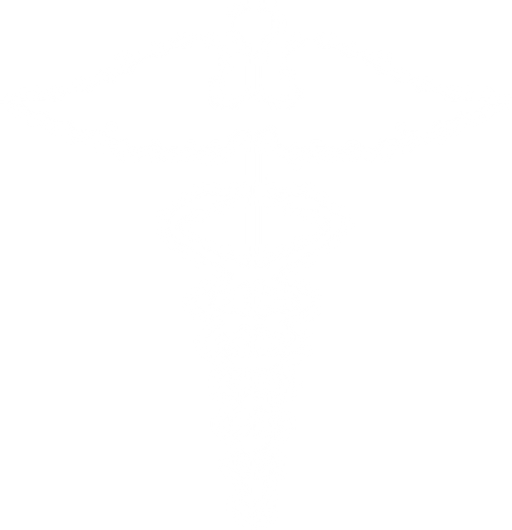 MUDr. František Šincl, s.r.o. logo