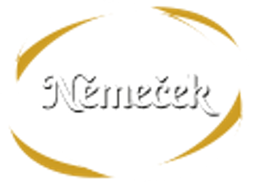 Opravy a prodej dechových hudebních nástrojů - Petr Němeček logo