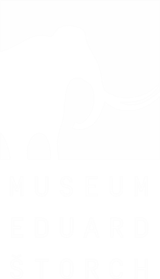 Muzeum Eduarda Štorcha logo