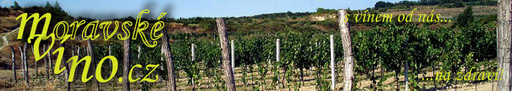 mVino.cz logo