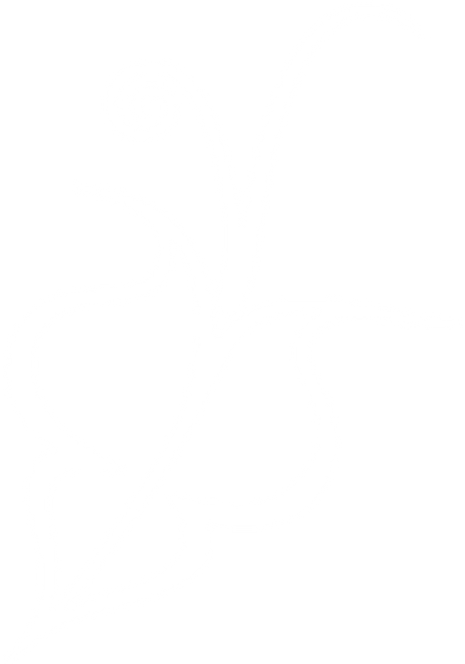 Mýdlárna Venuše logo