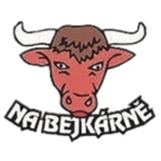 Penzion Na Bejkárně logo