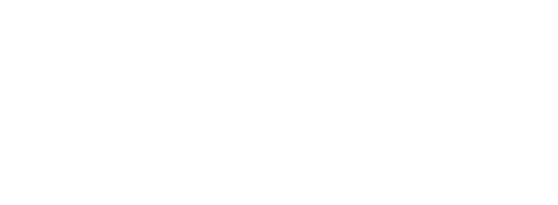Nano Flow logo