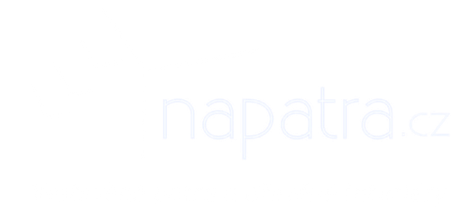 Ladislav Vaněk - Napatra.cz logo