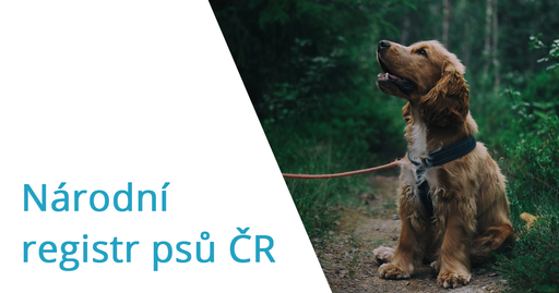 Národní registr psů logo