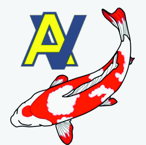Naše Jezírka - AV RECORD logo