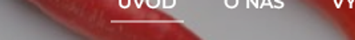 Natura Food Additives logo