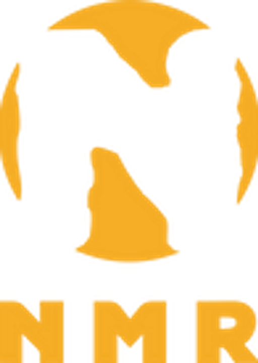 NEMOROS logo