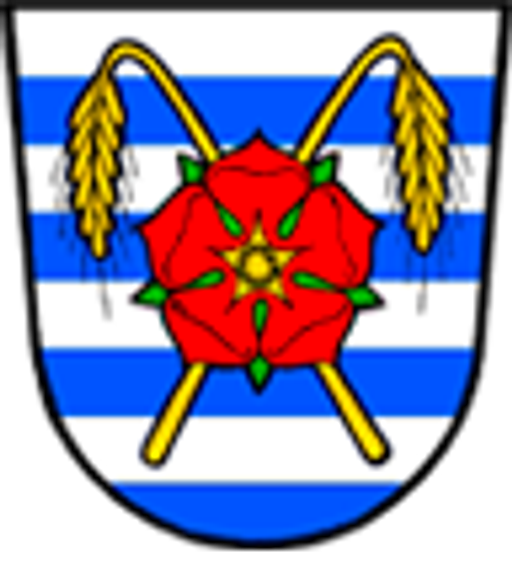 Neplachov logo