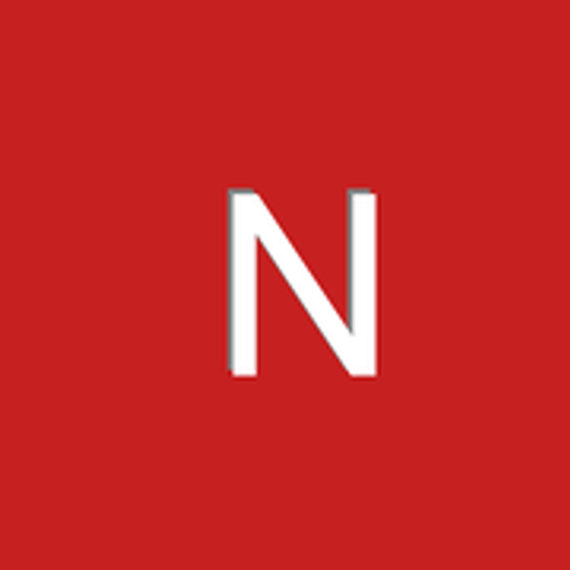 netfirma.cz logo