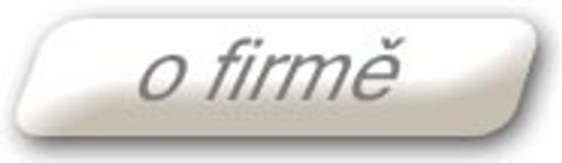 NetIng logo