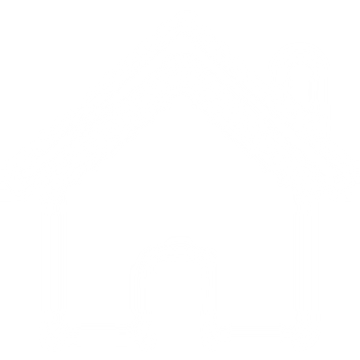 NEUMANN logo