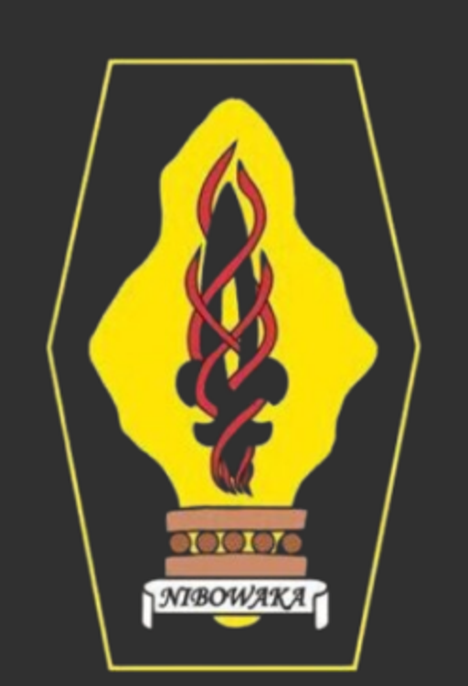 Nibowaka Boskovice logo