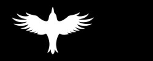 NightBird.cz logo