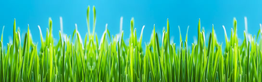 Nk-Agro logo