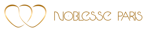 NOBLESSE-PARIS logo