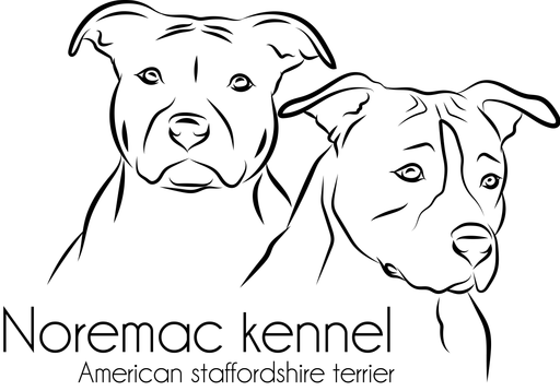 Noremac logo