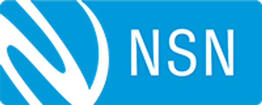 NSN CS, s.r.o. logo