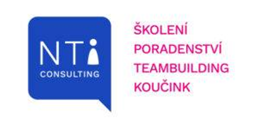 NTI - consulting, s.r.o. logo