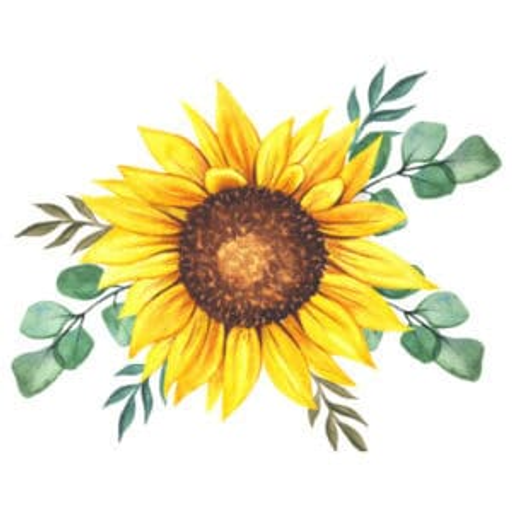 Obchůdek Harmonie logo